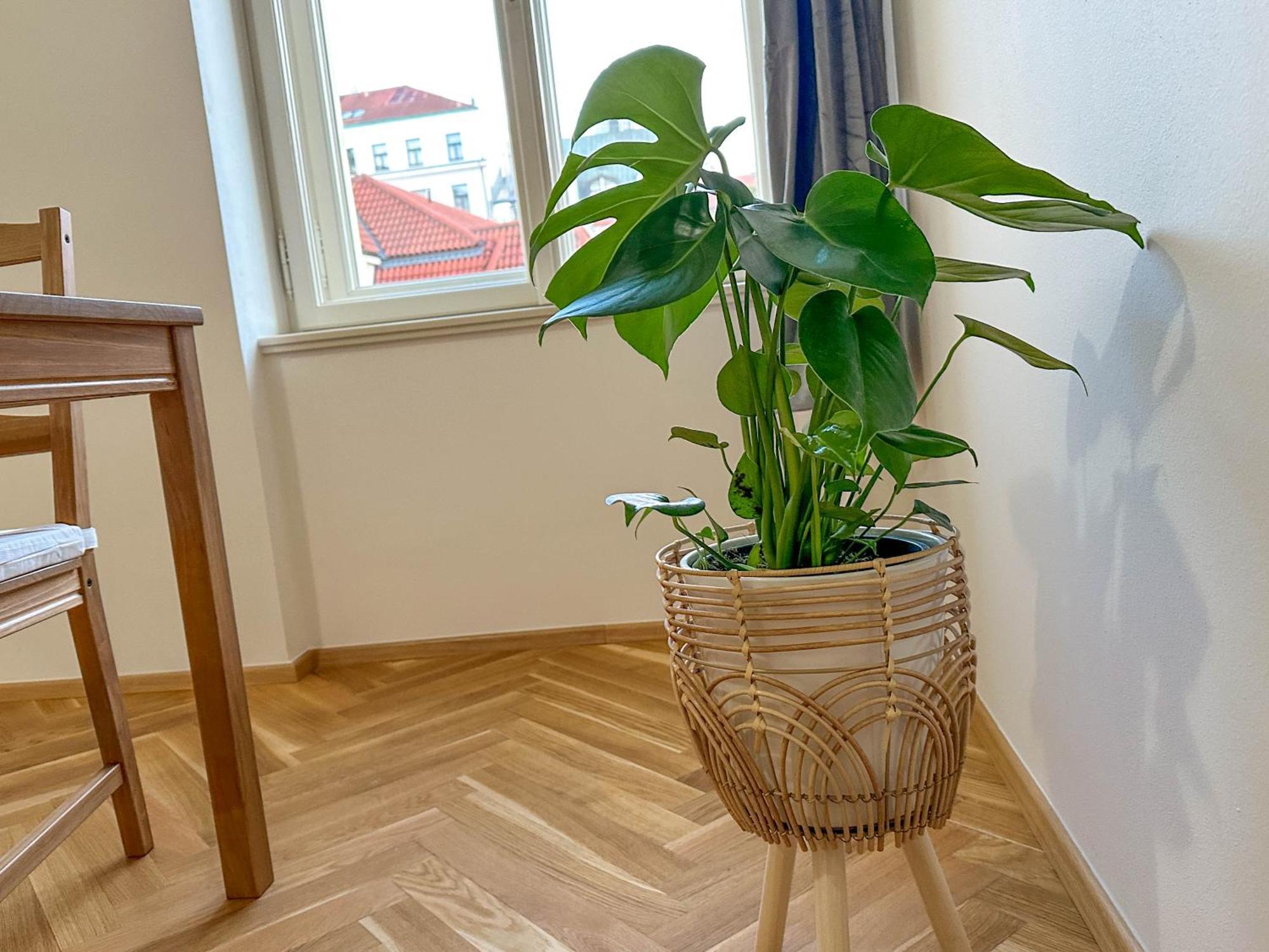 Apartment Stylish Next To Wenceslas Square *